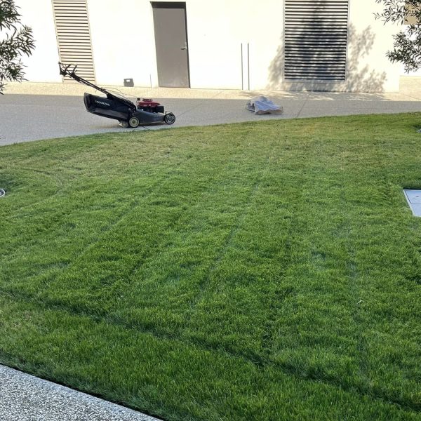 Council Property (2)