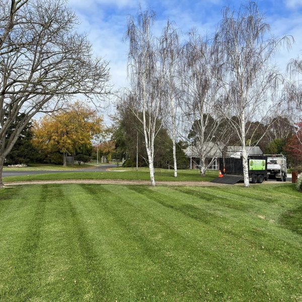 Front Lawn(1)
