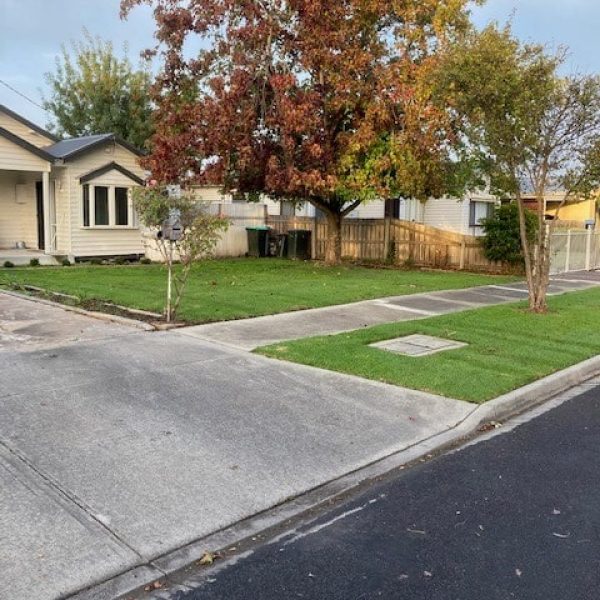 Front Yard