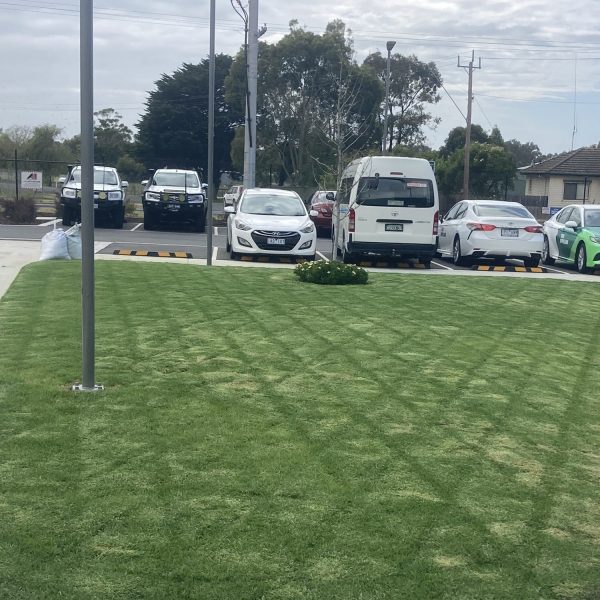Grass Patch Mow