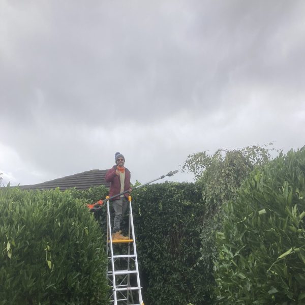 Hedging