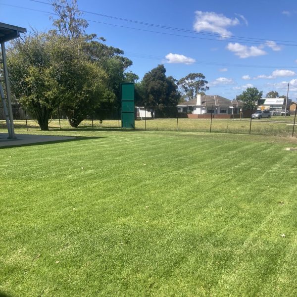 School Grounds Mowed (3)