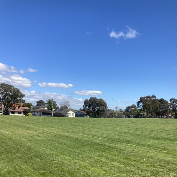 School Grounds