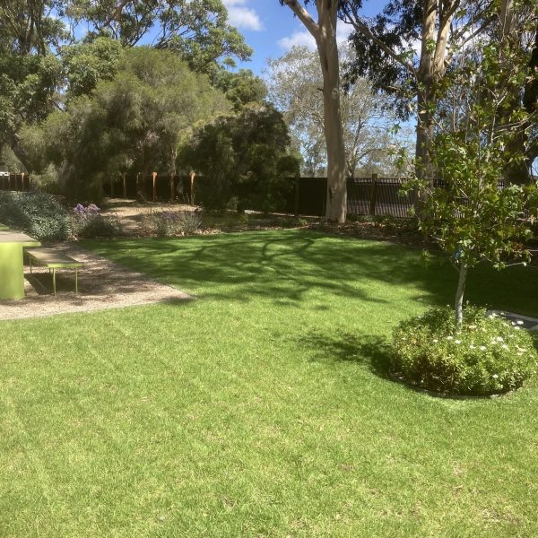 Yard Mowed